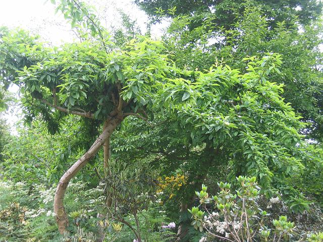01-06-05canon_120