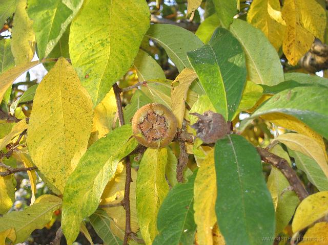 18-11-05canon_019