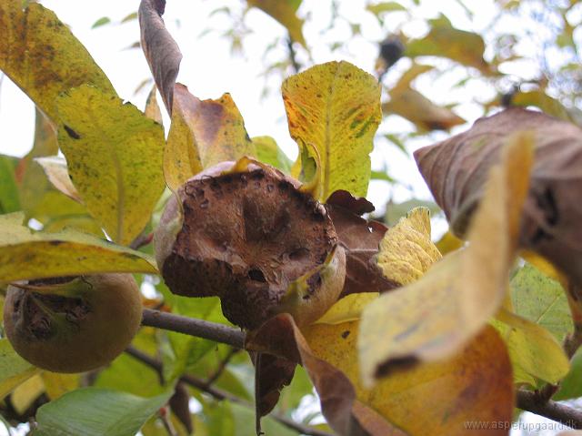 27-11-05canon_022