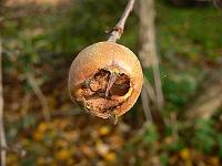26-11-2006_11-44-03_05