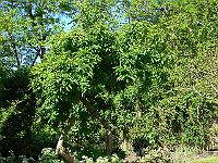 31-05-2006_10-37-59_02