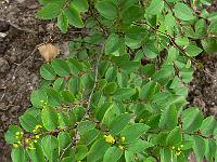 2009-07-06_08-22-50_0059