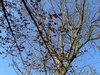 2009-04-12_08-58-49_0002