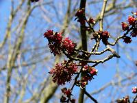 2009-04-12_09-02-28_0027