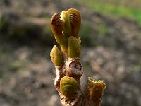 2009-04-14_07-48-07_0146