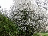 2009-04-14_07-41-42_0112