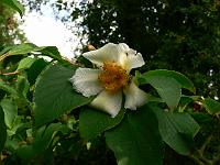 2009-07-18_17-25-02_0042