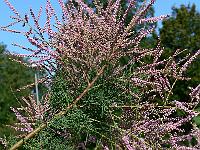 2008-08-16_08-52-00_0056