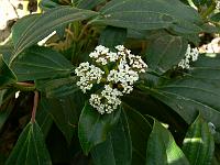 2008-05-12_09-49-23_0008