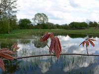 2010-05-11_16-07-50_0039
