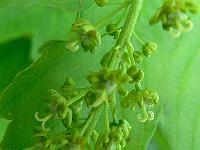 2010-05-20_17-17-29_0054