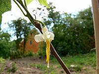 2008-07-07_09-26-02_0015