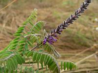 2010-07-29_07-54-25_0114