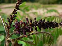 2010-09-10_16-41-05_0036