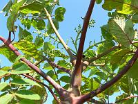 2011-07-16_08-44-05_0025