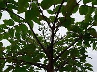 2011-07-22_08-48-55_0028