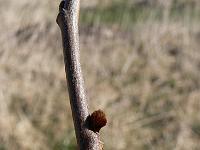2011-03-27_09-40-34_0039