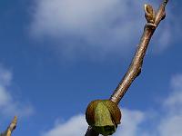 2011-05-05_07-56-30_0001