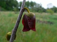2011-05-17_09-43-38_0042
