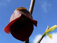 2011-05-19_08-29-52_0093