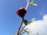2011-05-19_08-30-25_0095