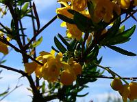 2010-06-02_10-41-18_0054