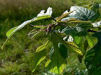 2008-09-07_08-34-50_0032