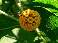 2009-05-31_07-11-36_0036