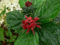 2010-08-17_08-47-12_0027
