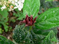 2010-08-17_08-47-24_0028