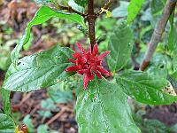 2010-09-10_16-03-21_0034