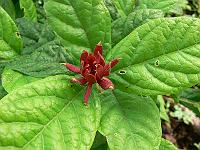2011-07-21_09-33-41_0056