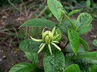 2009-07-29_08-35-13_0046