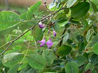 2008-08-29_06-49-59_0037