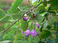 2008-08-29_06-49-59_0046