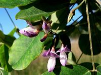 2008-08-30_08-16-49_0025