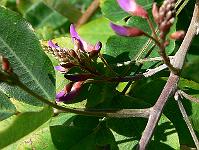 2008-08-30_08-16-49_0029
