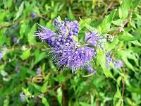 2011-09-14_08-40-26_0059