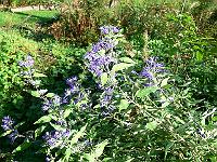 2011-09-22_09-24-39_0026