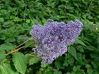 2009-09-25_11-55-24_0029