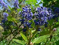 2010-05-20_11-50-45_0086