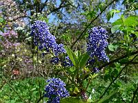 2010-05-20_11-51-07_0092