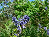 2010-05-20_15-38-10_0227
