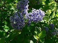 2010-06-01_09-24-05_0091