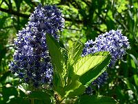 2010-06-01_09-24-18_0094