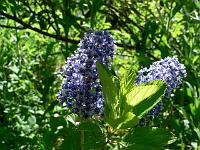 2010-06-01_09-24-19_0096