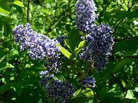 2010-06-01_09-24-37_0097