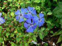 2010-07-14_10-24-22_0160