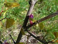 2010-06-02_11-11-38_0094