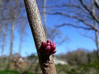 2010-04-16_10-52-03_0010